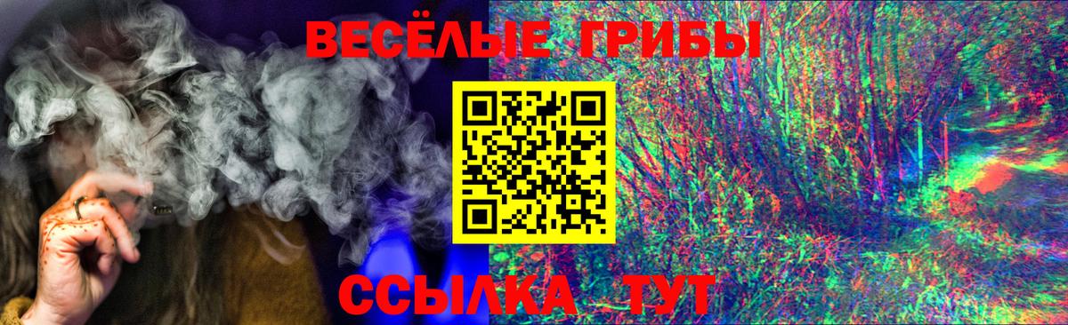 Губкин  Псилоцибиновые грибы Psilocybine cubensis  Вход с VPN  Галлюциногенные грибы Psilocybe 